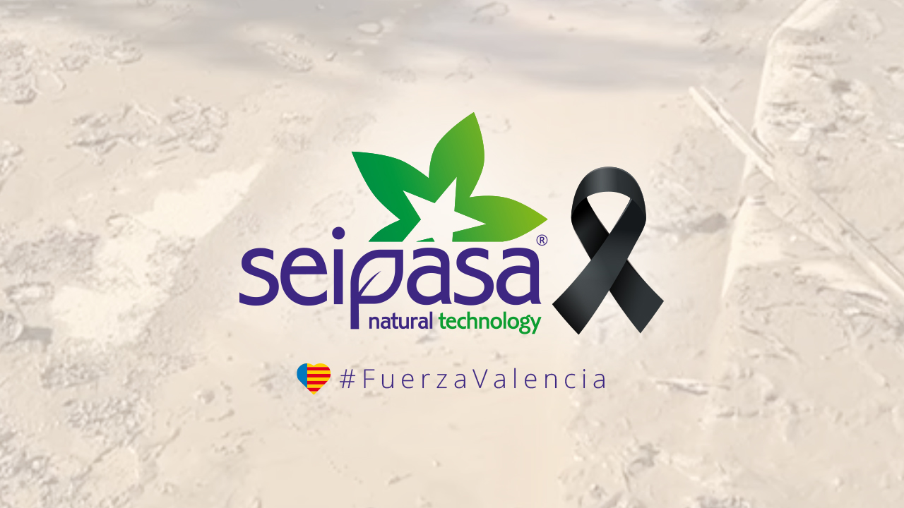 Seipasa trabaja sin descanso para reestablecer la actividad productiva