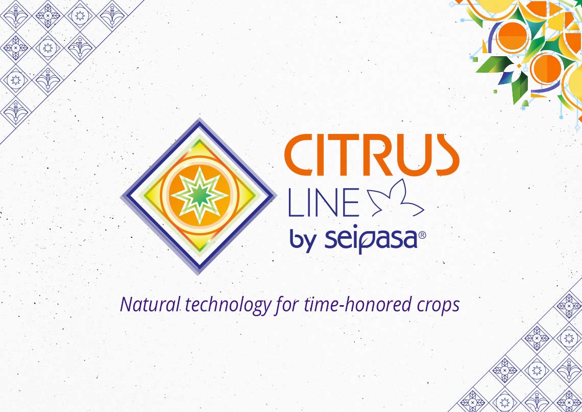 Seipasa presents its new Citrus Line