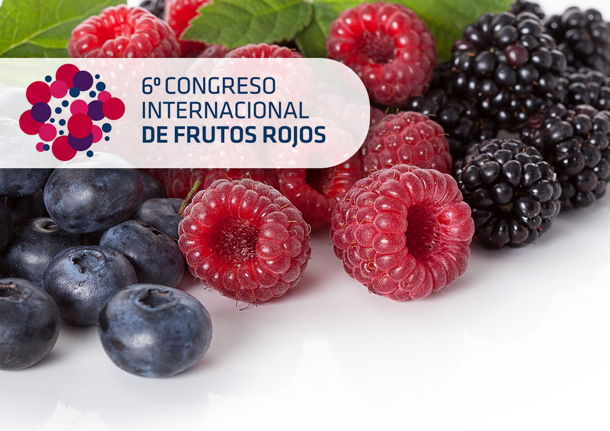 Seipasa is set to present its Radisei root biostimulant at the Berry Fruit Congress in Huelva