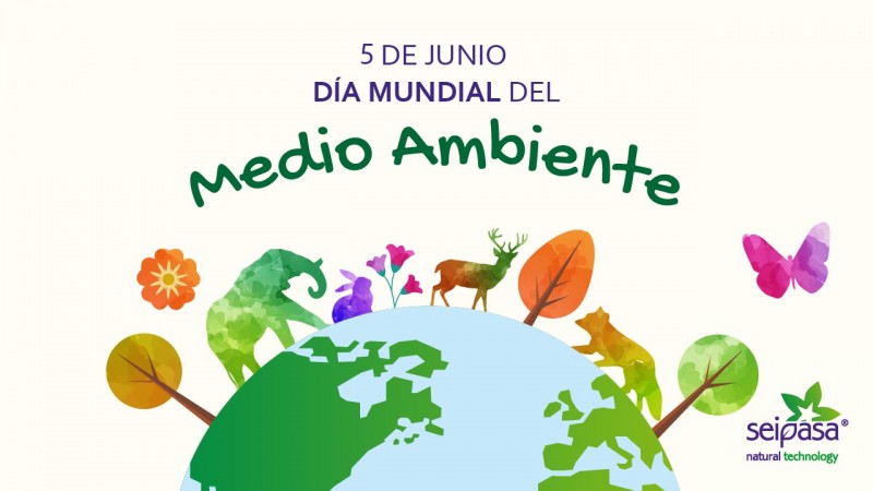 Reflexiones en el Día Mundial del Medio Ambiente