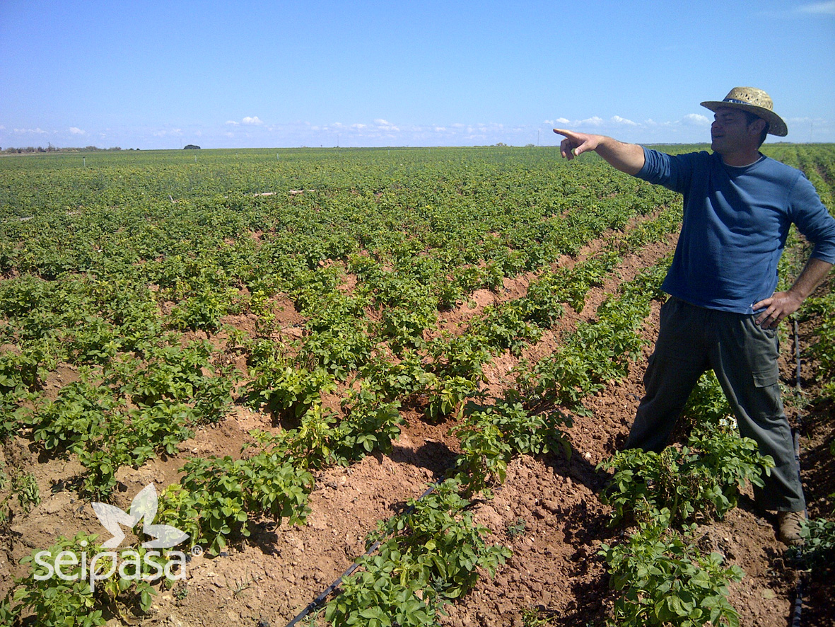 La producción ecológica tendrá “condición preferente” en ayudas del Programa de Desarrollo Rural