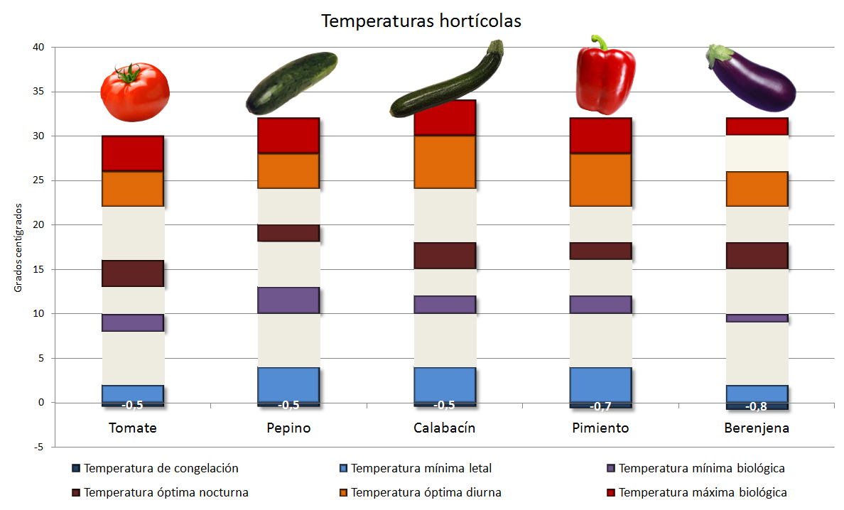 Estrés por frío en hortícolas: cómo evitar o minimizar daños