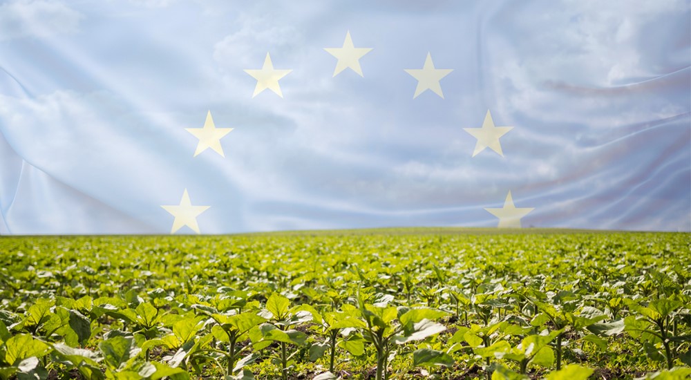 Circular economy and agriculture: keys to the Brussels-driven European Green Deal in the 2030 horizon