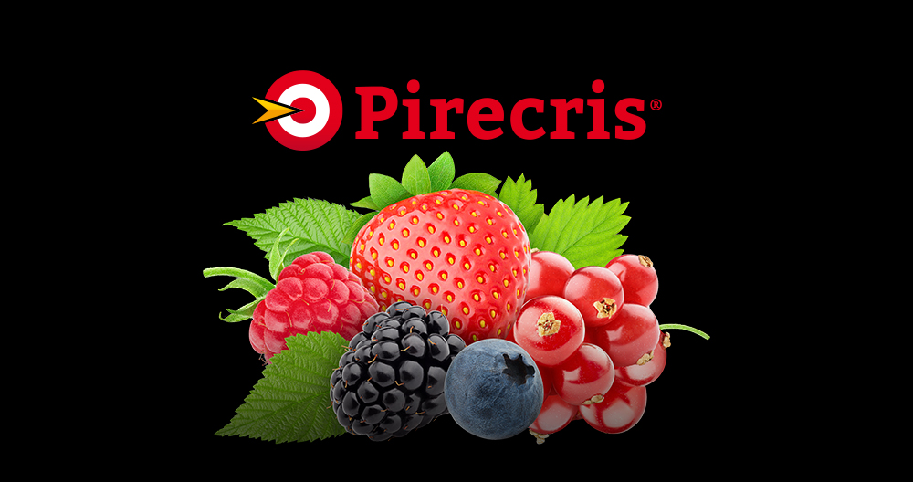 Seipasa is awarded the extension of its Pirecris bioinsectide label in Portugal for the control of Drosophila in berries.