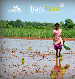 Seipasa se integra en el programa Transforma de Oxfam-Intermón